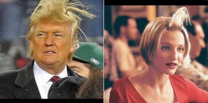 donald trump hair