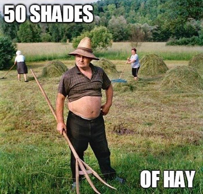 fifty shades of hay