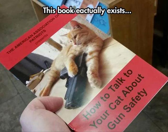 funny books