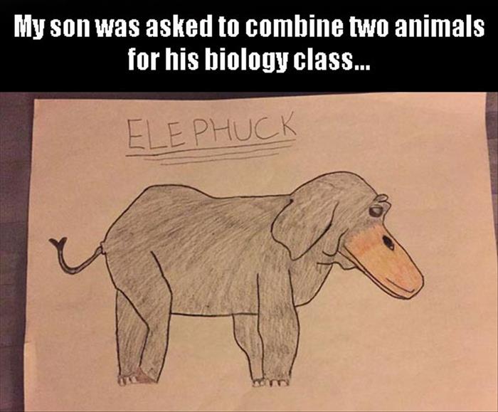 funny-drawing-elephant-duck-mix