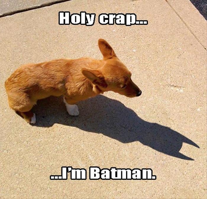 holy crap I'm batman
