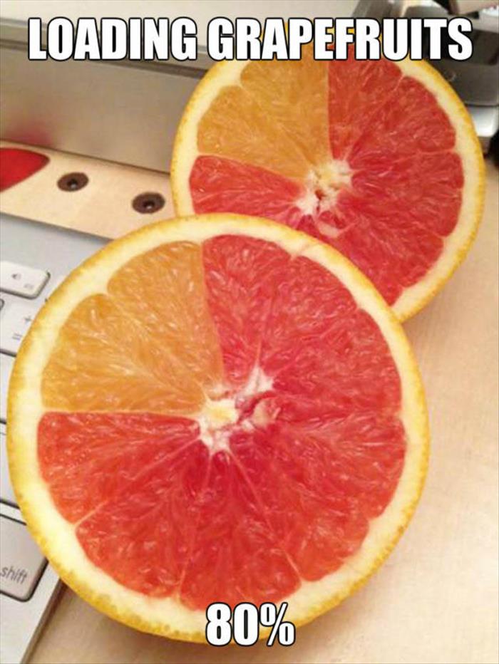 loading grapefruits