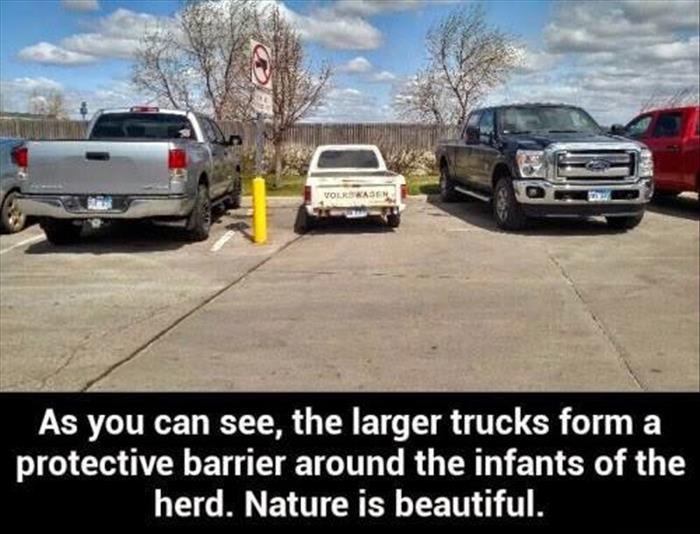 nature is beautiful