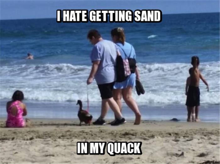 sand in my quack