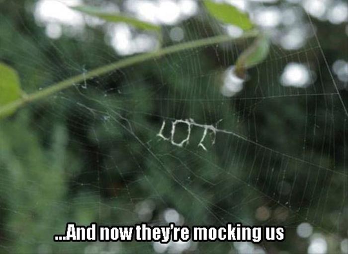 spiders know we're scared of them