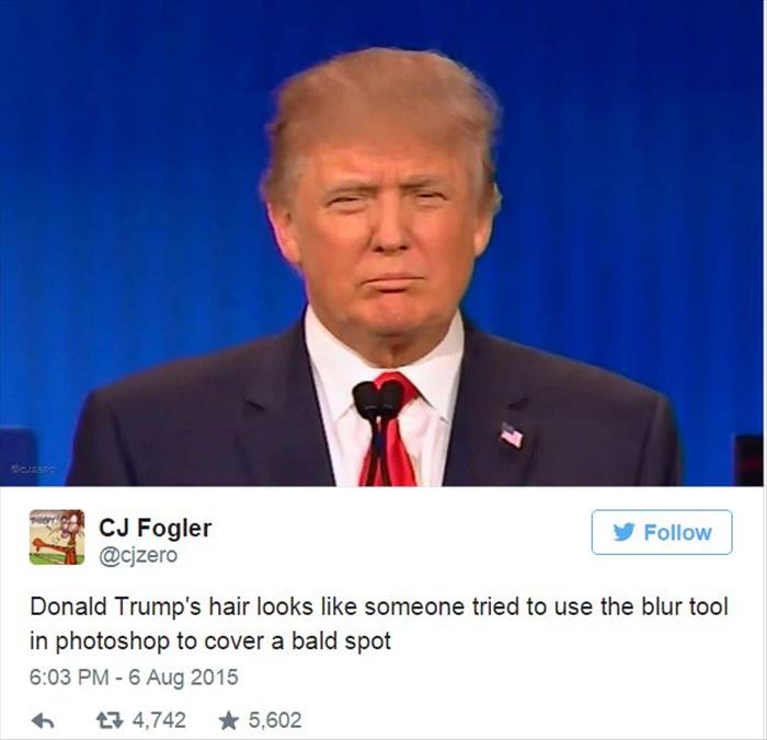 the donald trump's hair