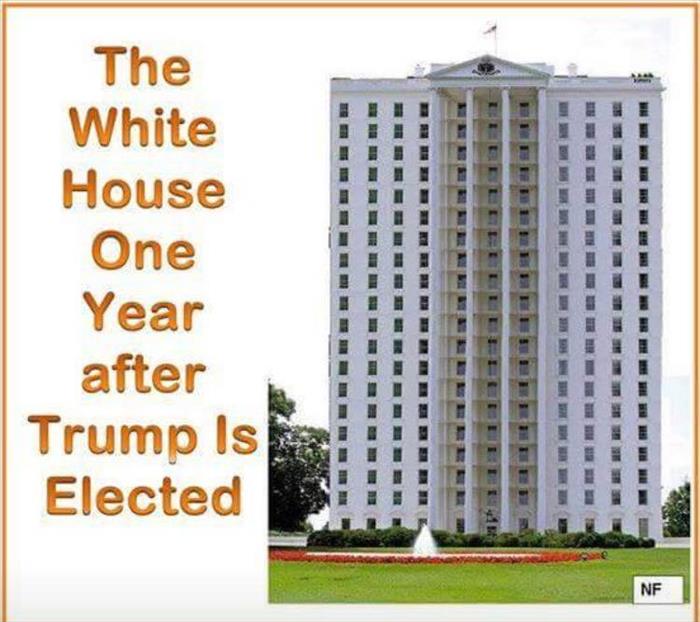 the whitehouse