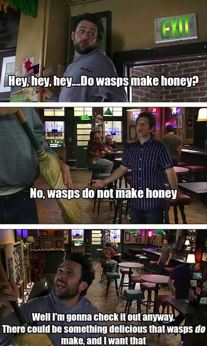 wasps make honey