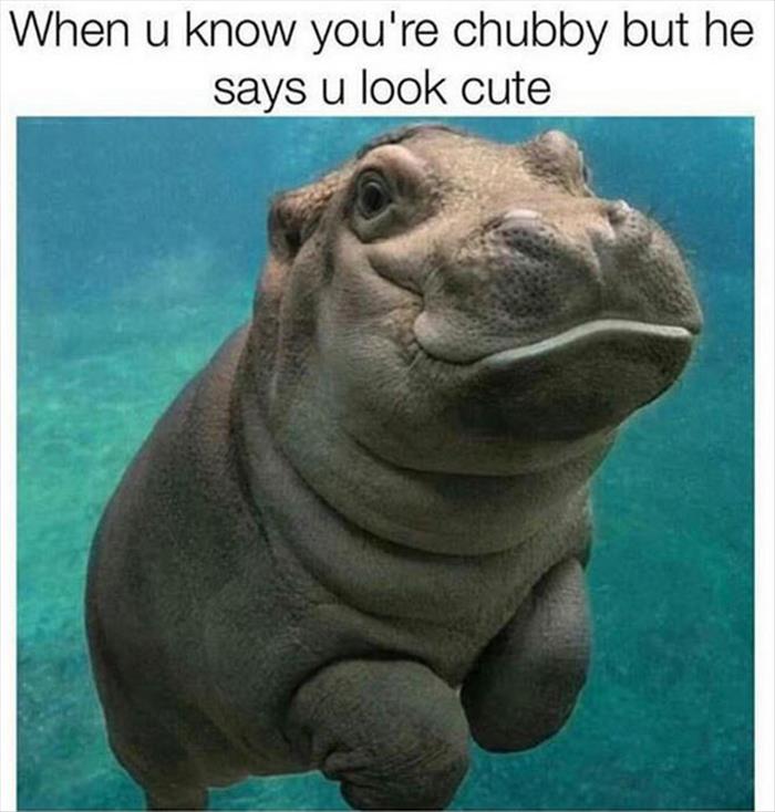 when you know you're chubby