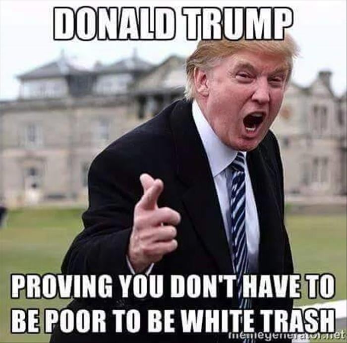 Donald trump (2)