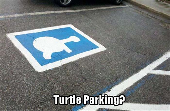 Turtle parking