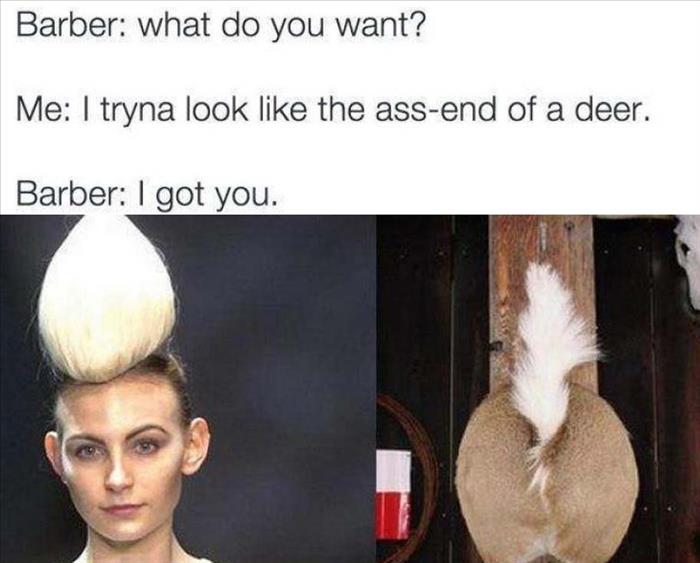 deer ass