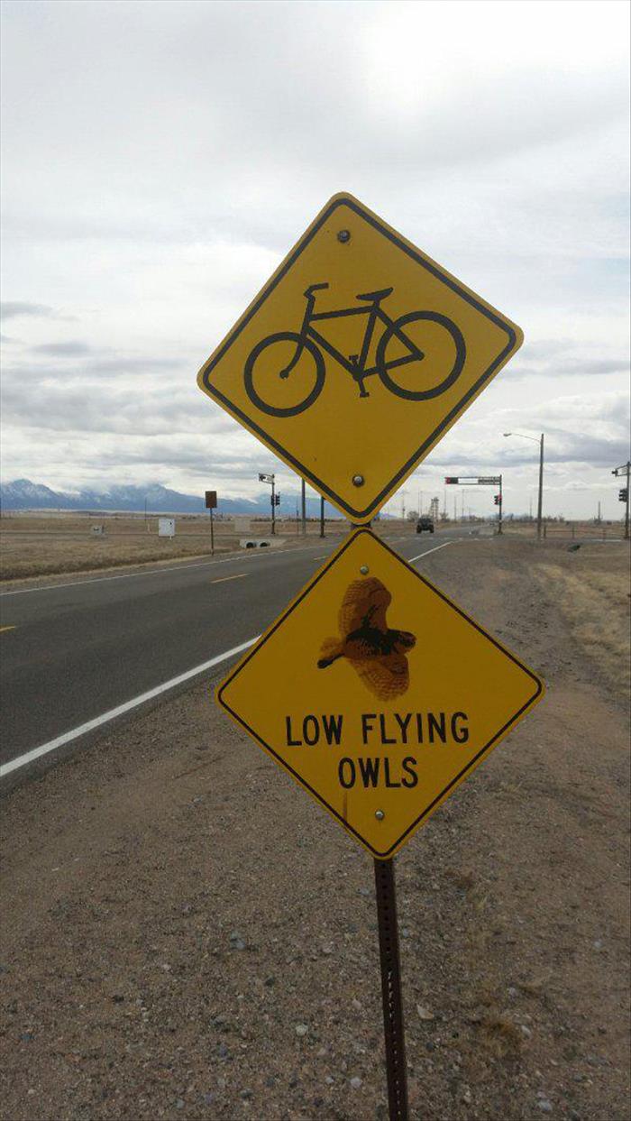 funny signs (7)