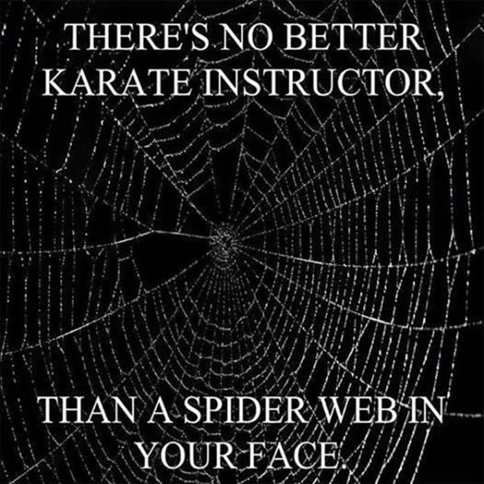 karate instructor