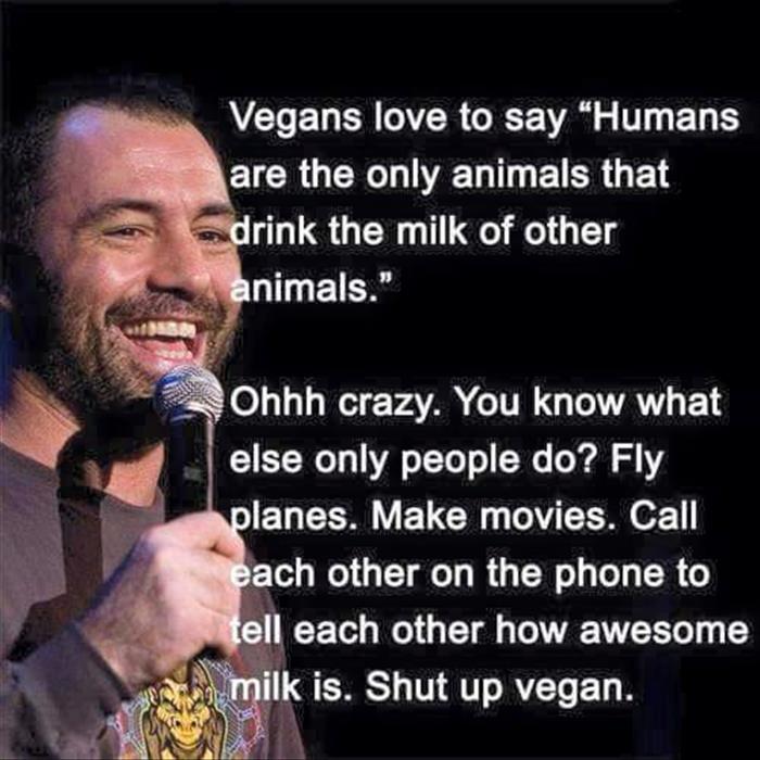 shut up vegan