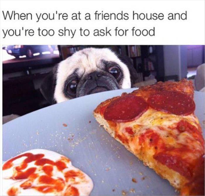 shy to ask for food
