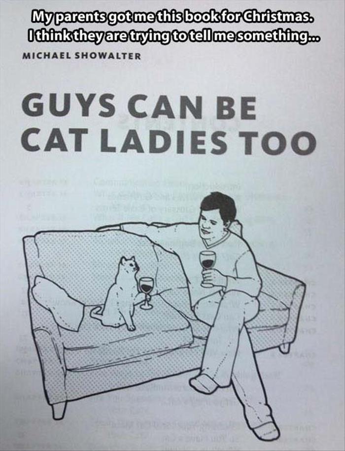 the funny cat ladies