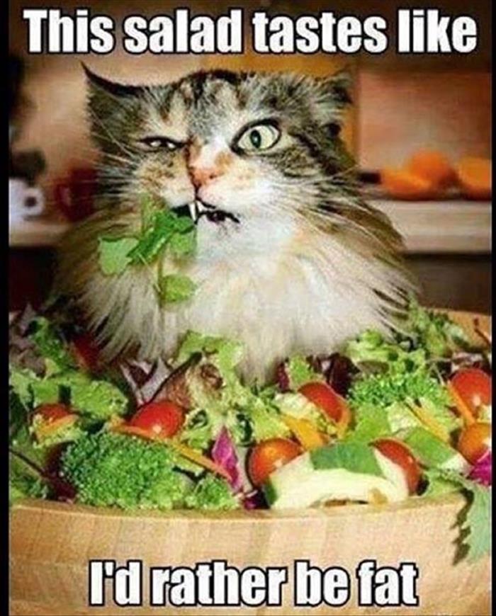 this salad