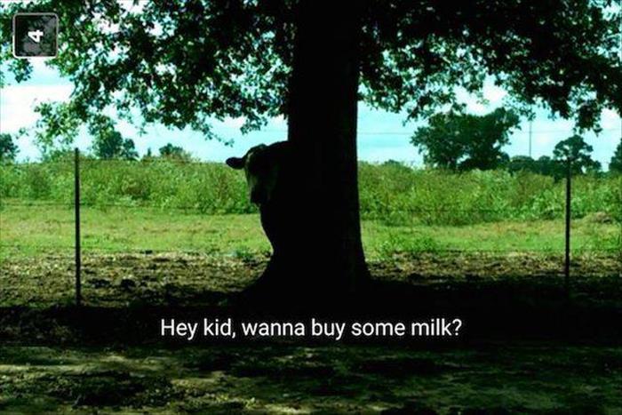 you wanna buy some milk
