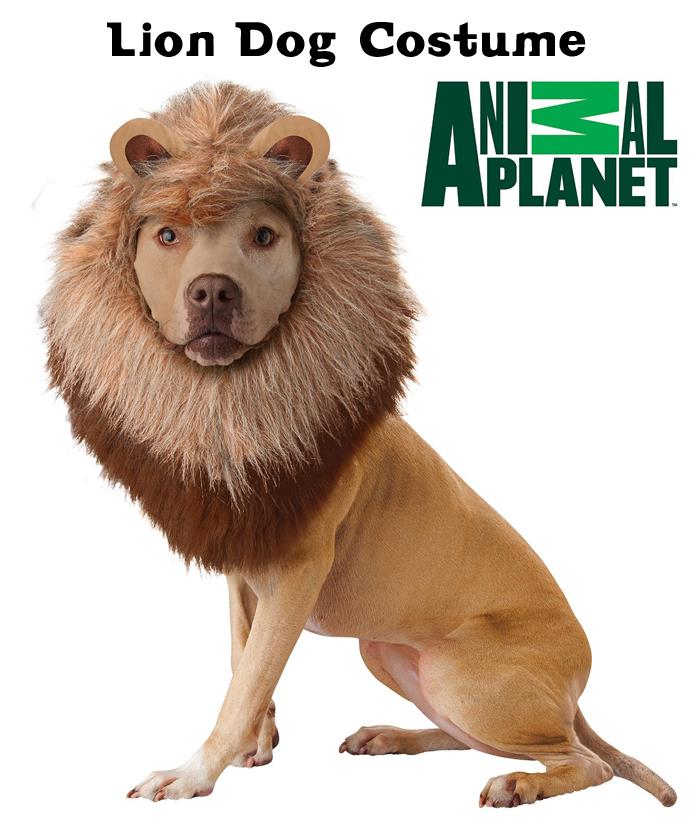 Animal Planet Lion Dog Costume