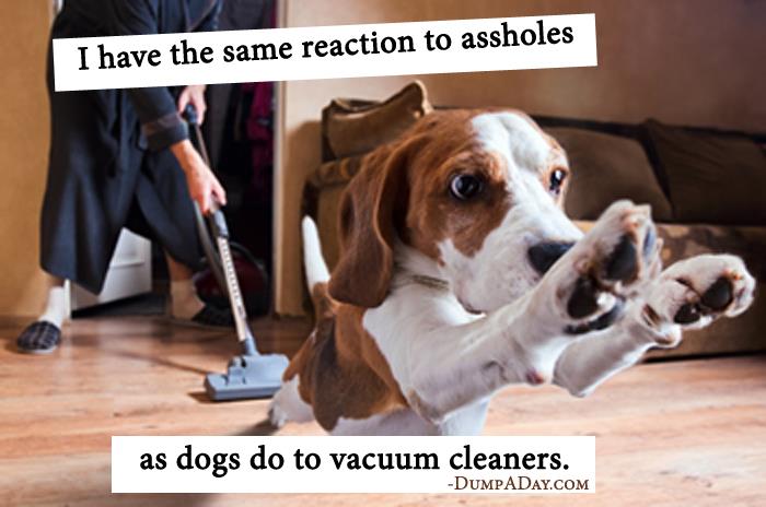 Dogs and vacuum cleaners