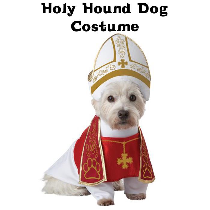 Holy Hound Dog Costume