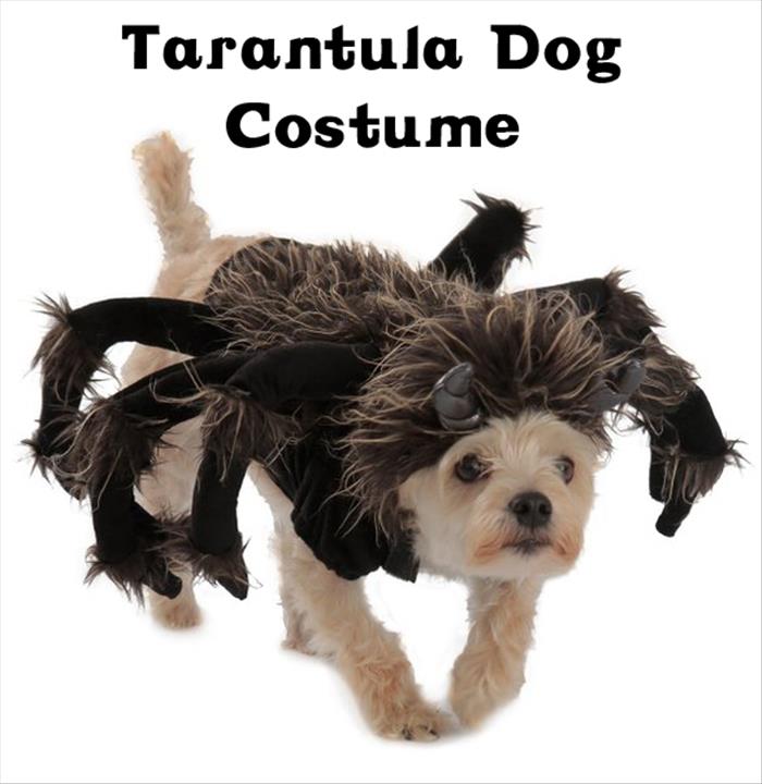 Tarantula Dog Costume