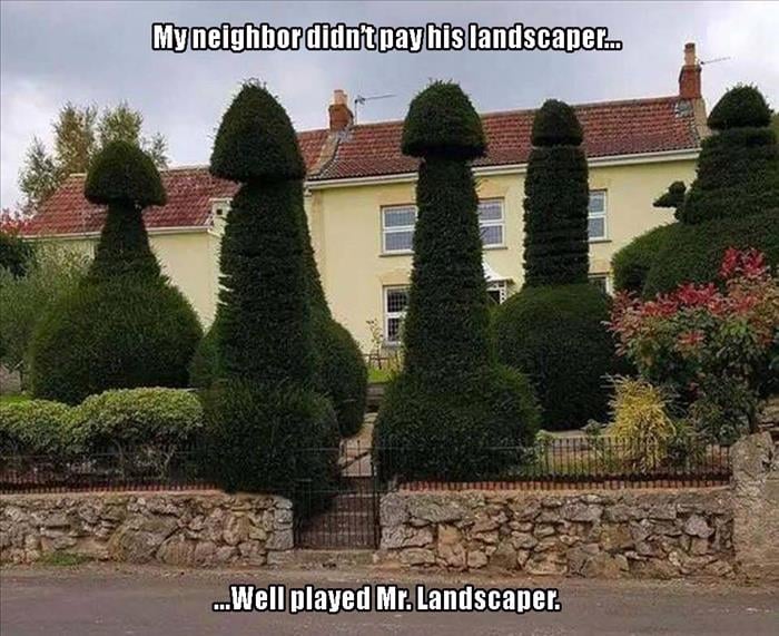 a funny tree trim