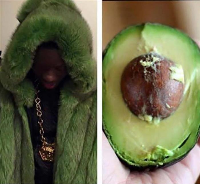 funny avocado