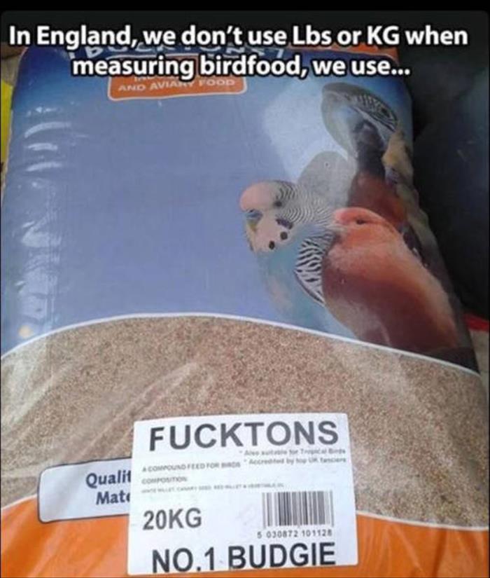 measuing bird food