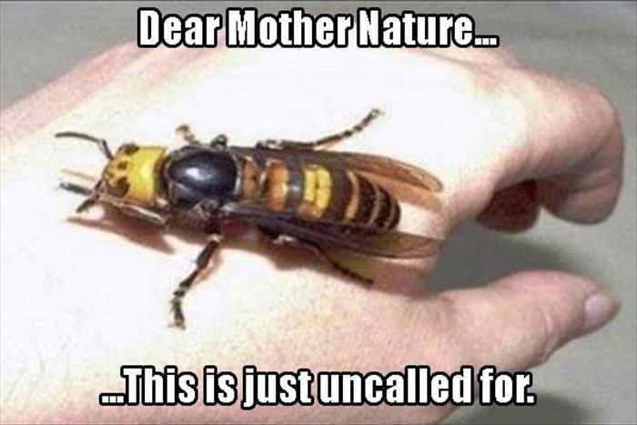 mother nature