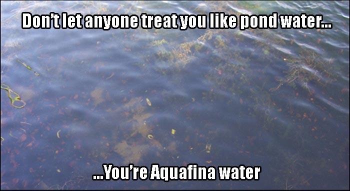 pond water funny