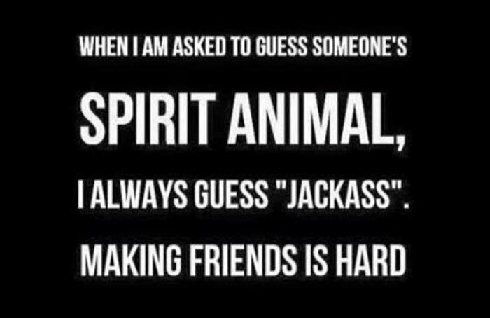 spirit animals