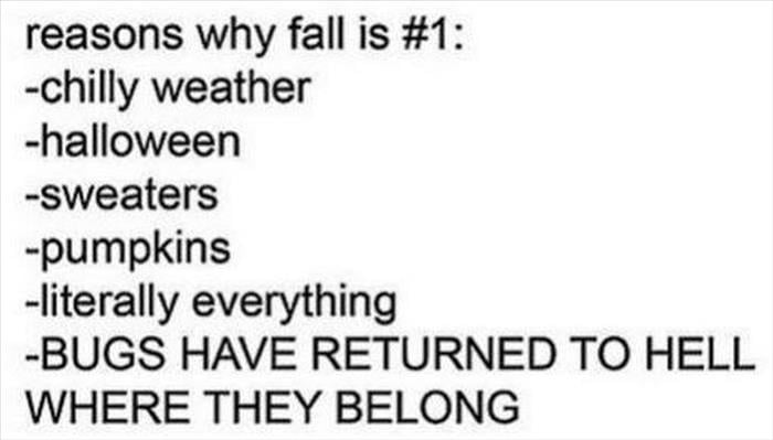 the fall seasons