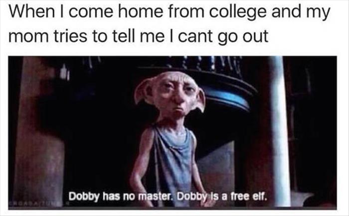 the free elf