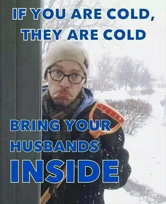 you are cold, they are cold