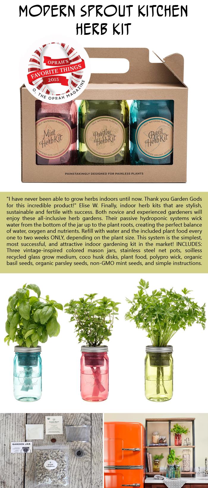 Modern Sprout kitchen herb kit