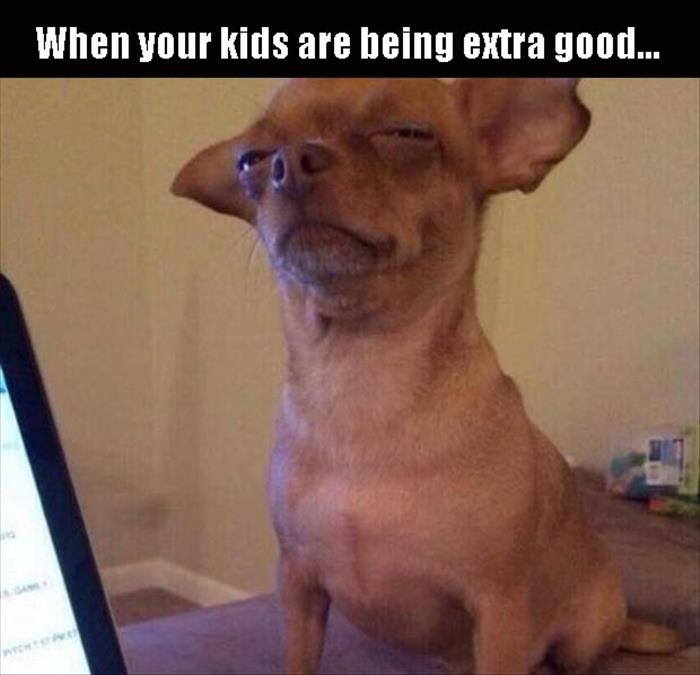 a parent is always suspicious