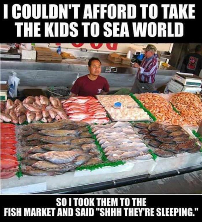 fish market