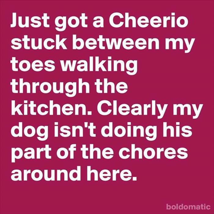 funny cheerios