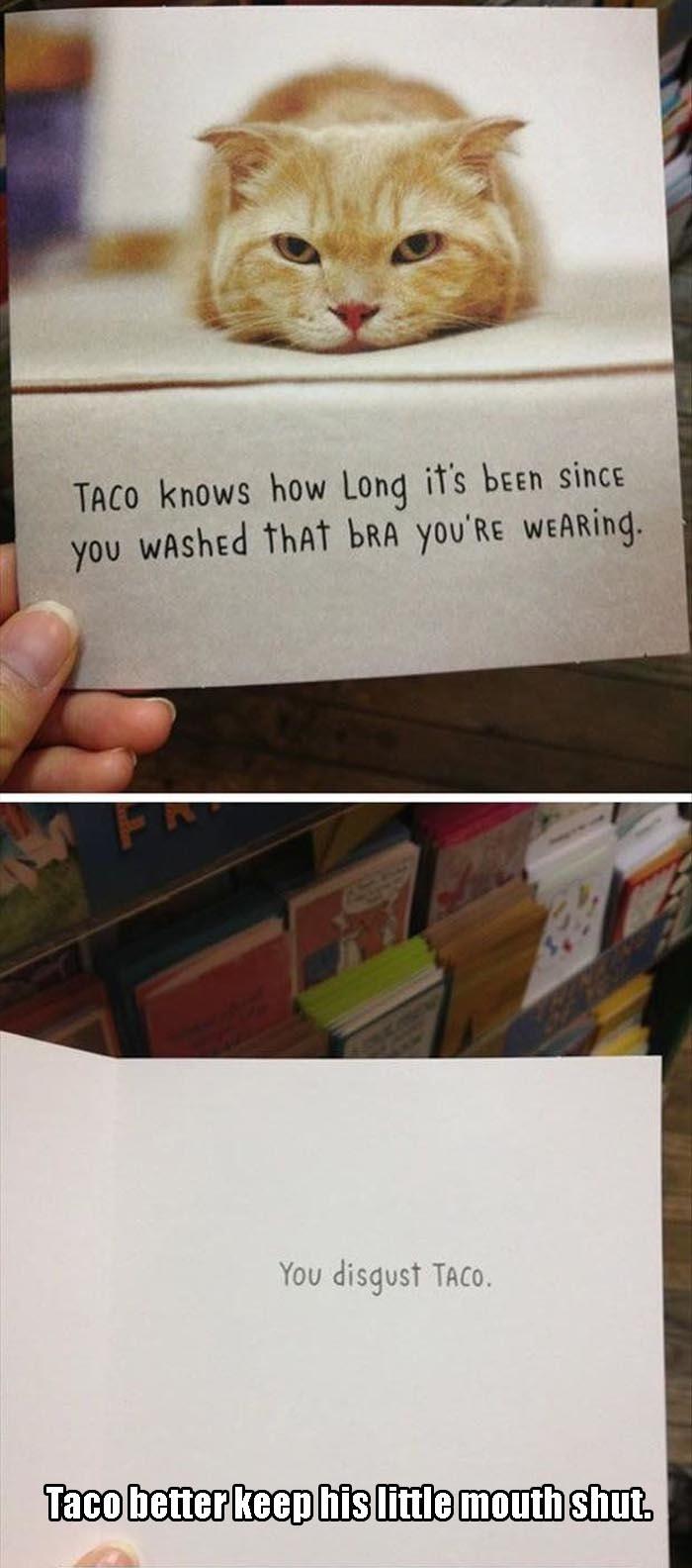 funny taco