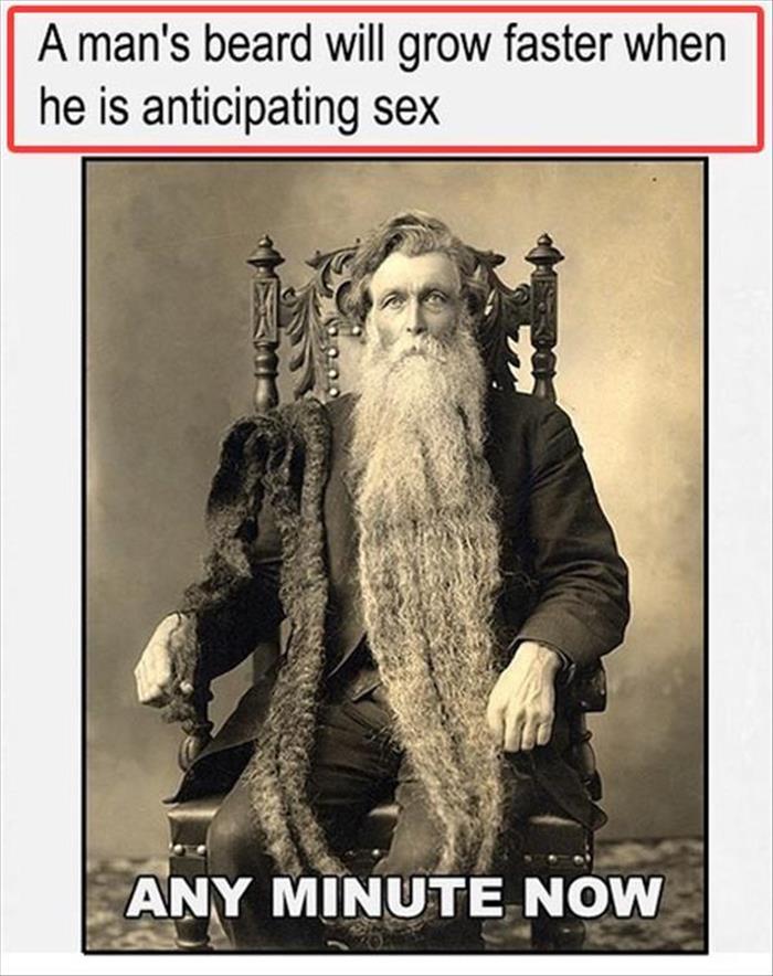man beard facts
