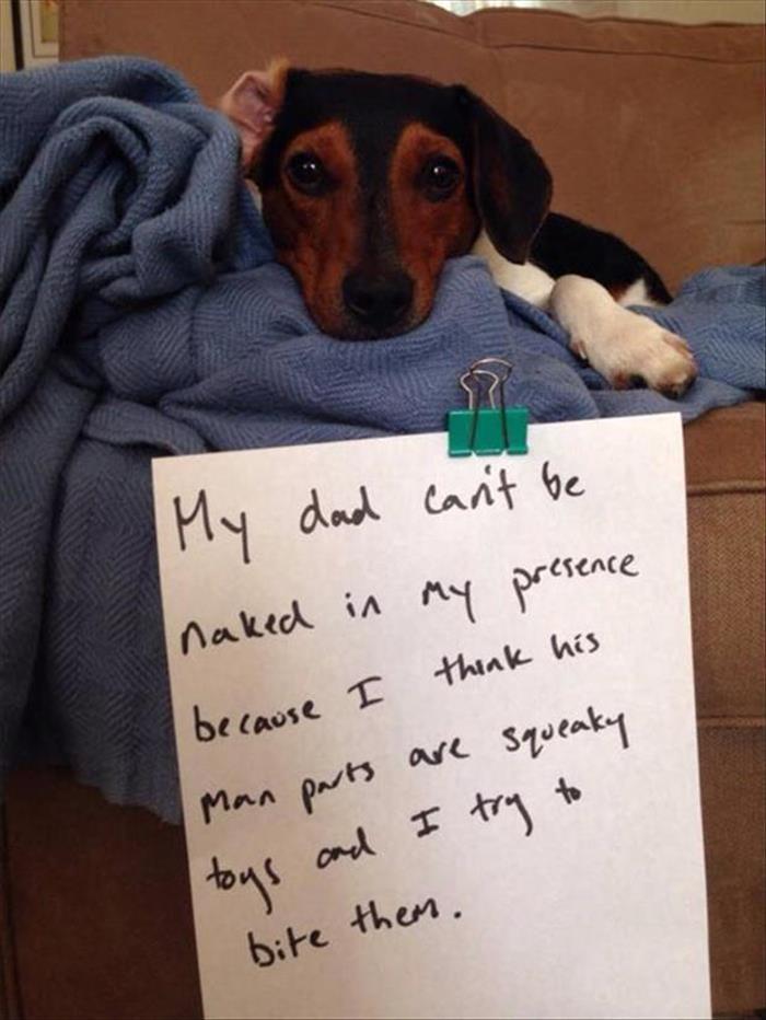 my dad dog shaming