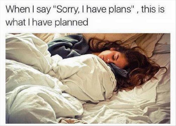 my plans