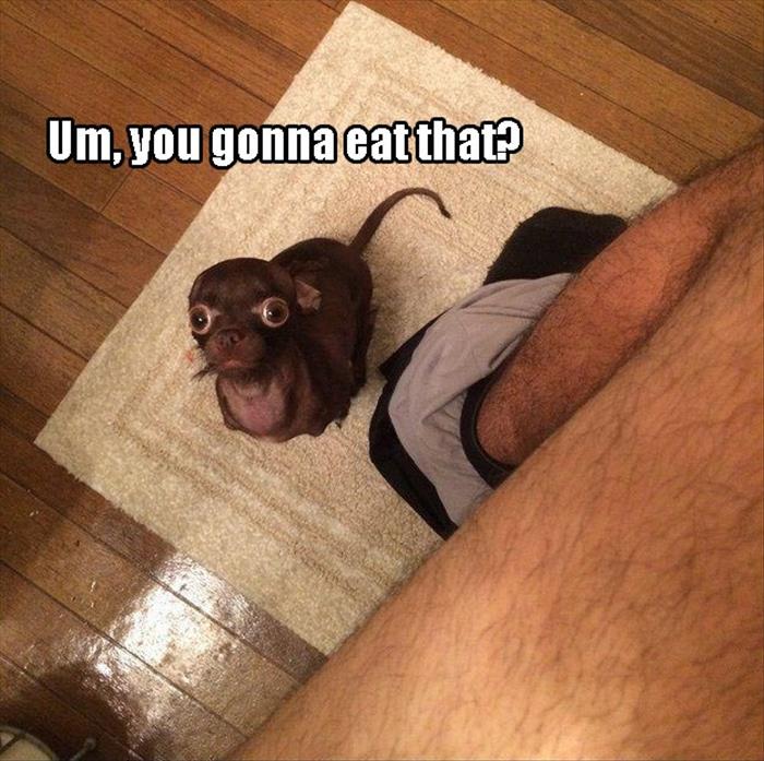 you gonna eat that