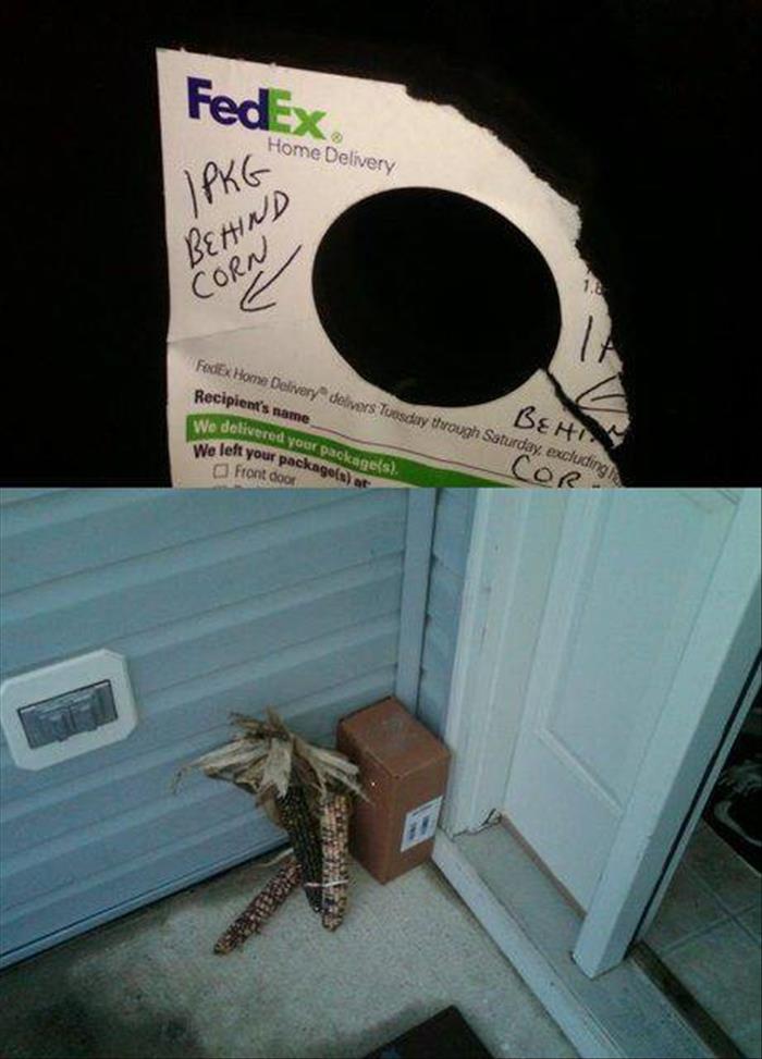 funny delivery (18)