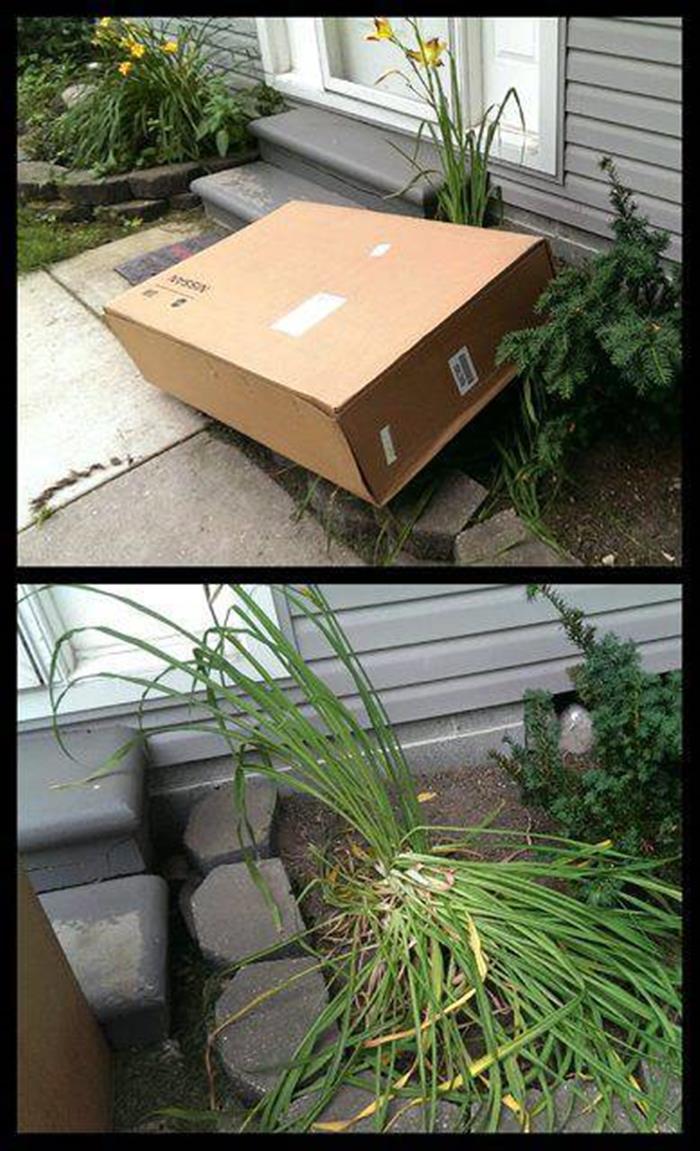 funny delivery (19)