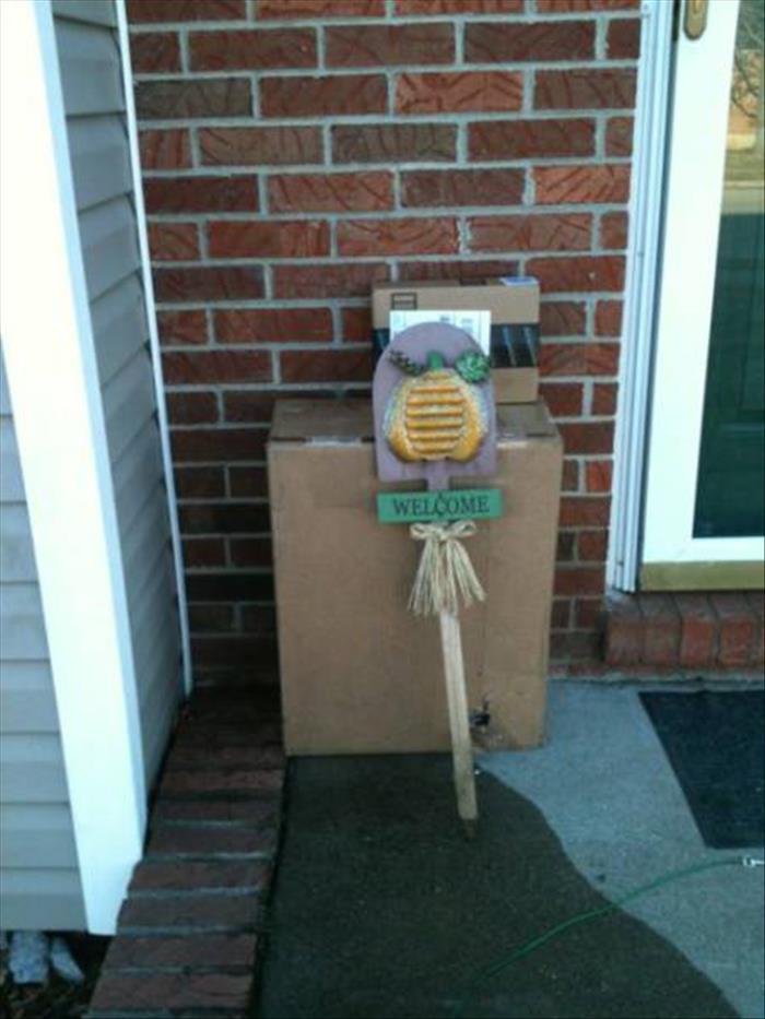 funny delivery (8)