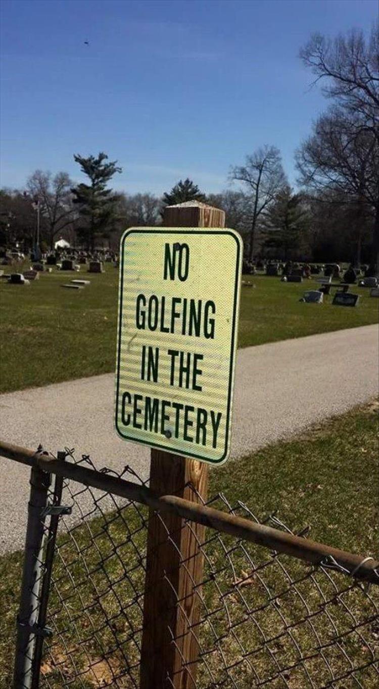 funny signs (3)