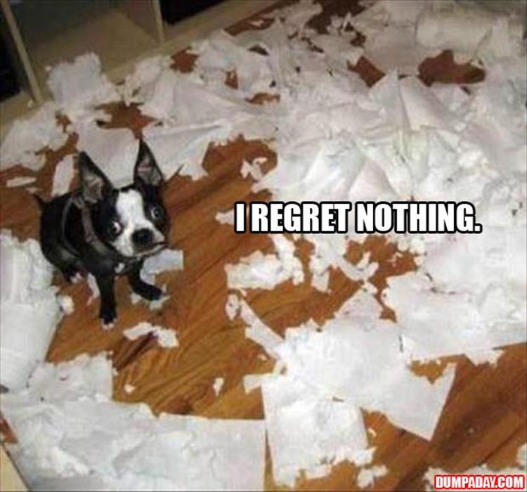 regret nothing (17)